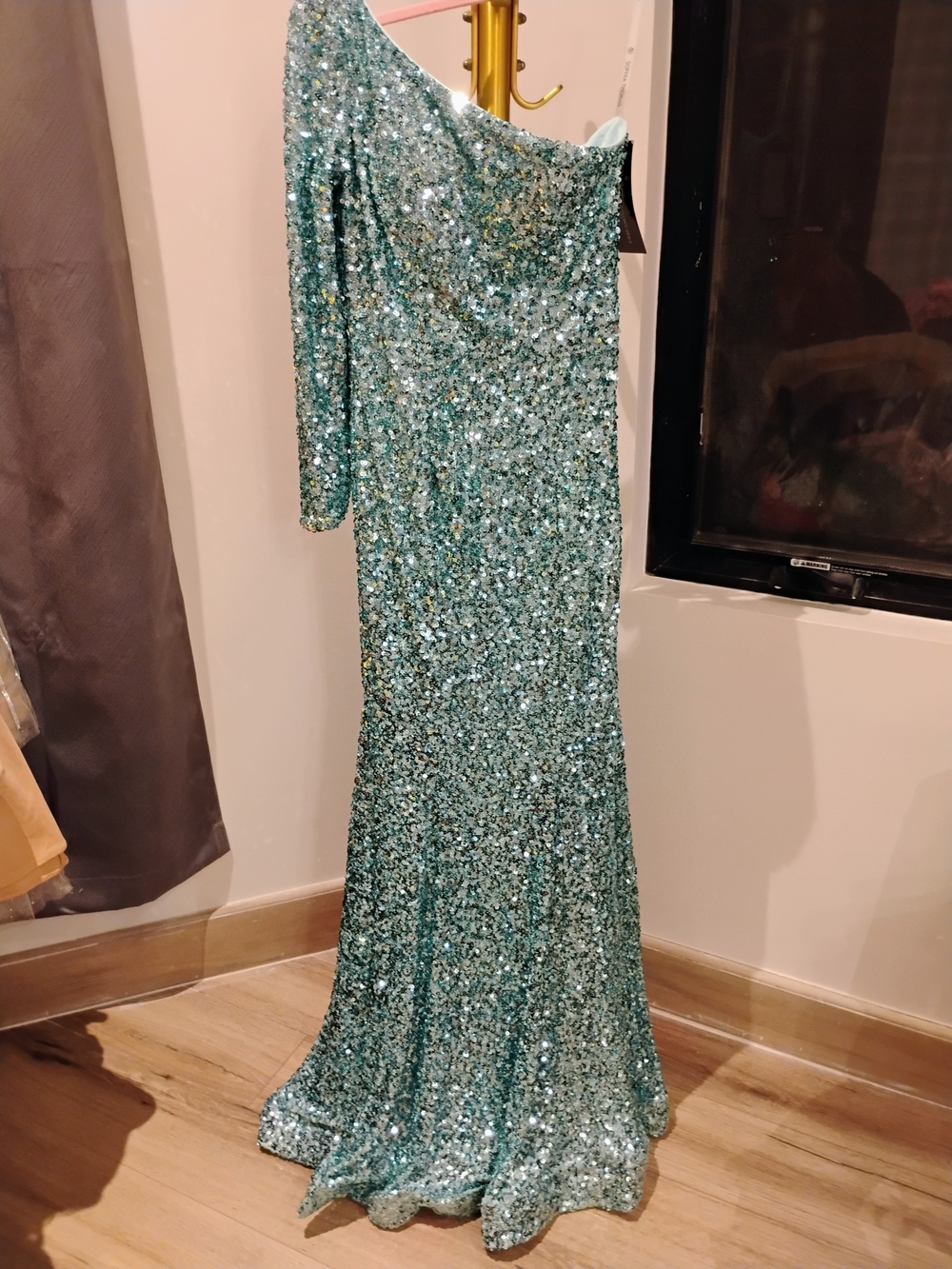 Sequin Dress Hanging
